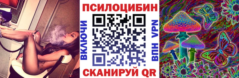 Псилоцибиновые грибы мицелий Мензелинск
